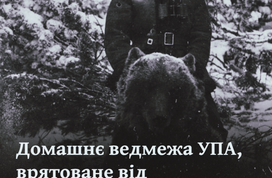 Домашнє ведмежа УПА, врятоване від більшовиків