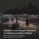 Спалили цілий острів і полюють на червонокнижних тварин: які ще екоциди росіяни вчинили, окрім підриву Каховської ГЕС