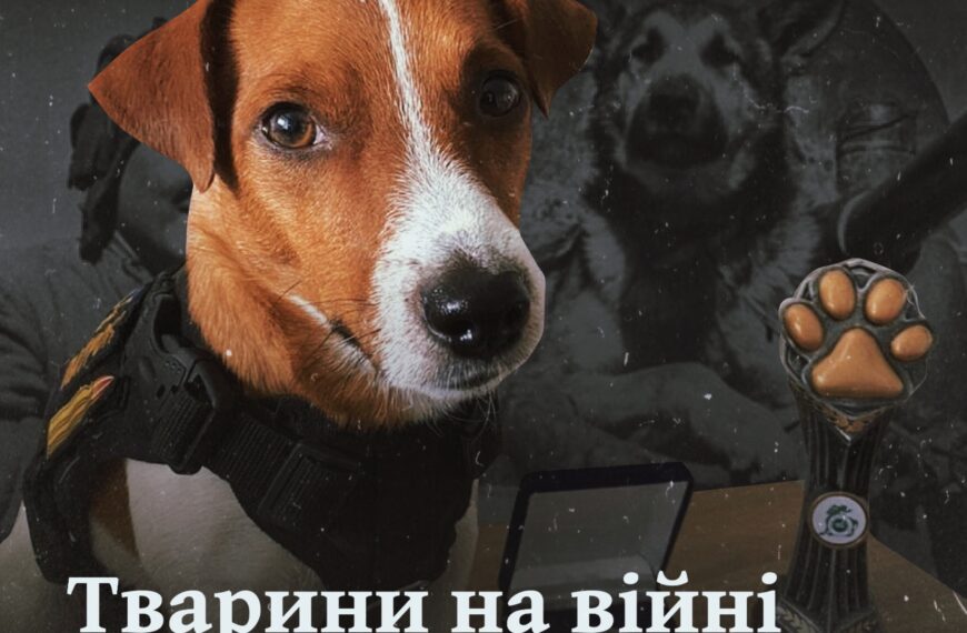 Тварини на війні. Які звірі були участь у бойових діях і нині залучаються до служби